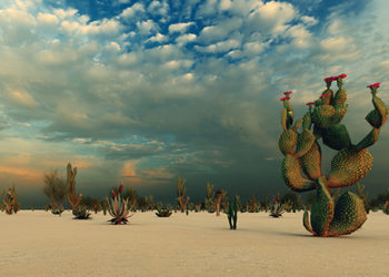 ERCOT’s Protocol for Dispatching Demand-Side Resources