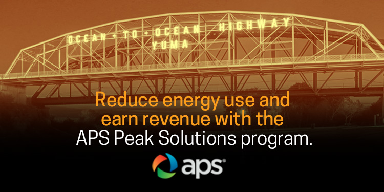 APS Peak Rewards (Webinar)